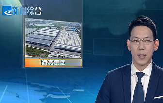 媒體聚焦 | 海亮：領跑中國民企500強紹興入圍企業(yè)
